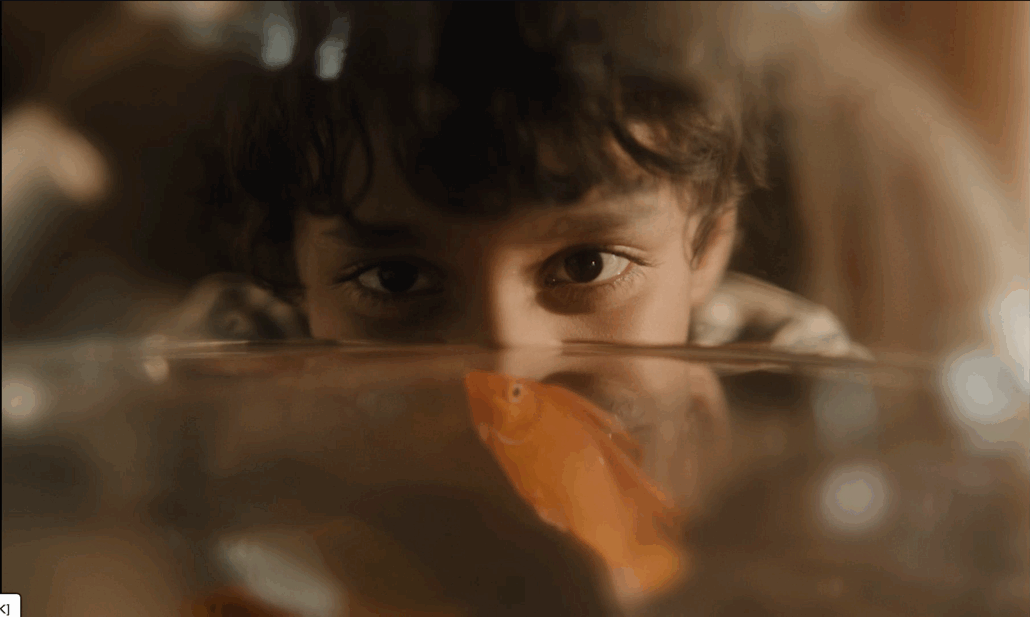 BLIND SPOT – Short Film Program 1