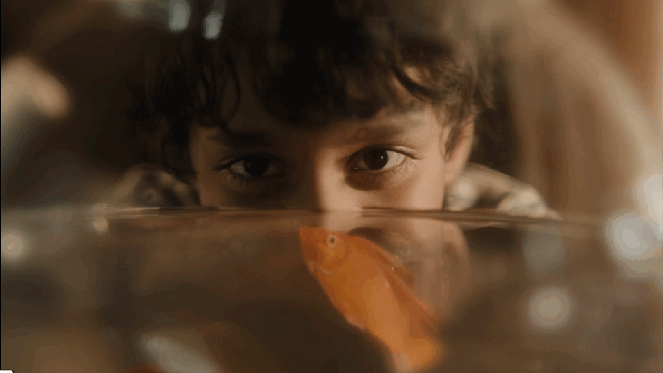 BLIND SPOT – Kurzfilmprogramm 1 ©Gubbara Entertainment | Quelle: DFF