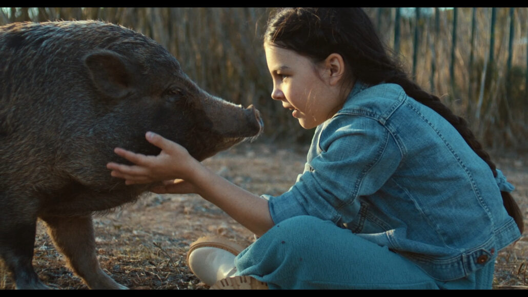 BOLICHE – Short Film Program 1 ©Auna Producciones | Source: DFF