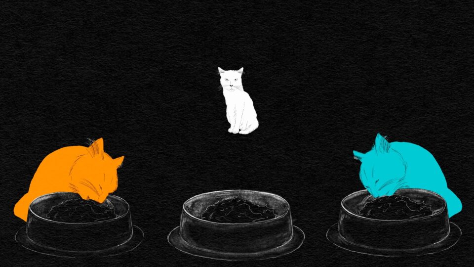 OLD WHITE TOM – Kurzfilmprogramm 5 ©Emily Ufken, Alexander Conrads | Quelle: DFF OLD WHITE TOM – Kurzfilmprogramm 5 ©Emily Ufken, Alexander Conrads | Quelle: DFF